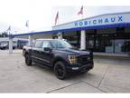 2023 Ford F-150 Black, 24 miles