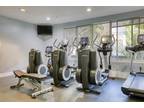 4121 Radford Ave, Unit FL2-ID572 - Apartments in Los Angeles, CA