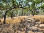 16342 STAGECOACH RD, Rancho Tehama, CA 96021 Land For Sale MLS# 23-4536