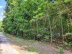 Crewe, Nottoway County, VA Undeveloped Land for sale Property ID: 417668317