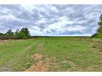 Clyde, Callahan County, TX Undeveloped Land for sale Property ID: 418186007