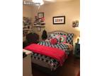 Furnished UT Area, Central Austin room for rent in 4 Bedrooms