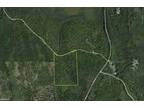 Amity, Aroostook County, ME Undeveloped Land for sale Property ID: 418047533