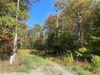 Ulster, Bradford County, PA Undeveloped Land for sale Property ID: 417902511