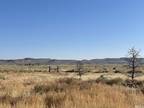 Silver Springs, Lyon County, NV Undeveloped Land, Homesites for sale Property