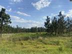 Bethune, Kershaw County, SC Undeveloped Land, Homesites for sale Property ID: