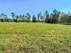 Live Oak, Suwannee County, FL Undeveloped Land for sale Property ID: 418017662