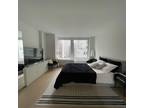 Rental listing in Financial District, Manhattan. Contact the landlord or