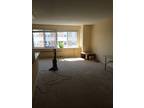 1 bdr/bath FEMALE ONLY luxury Dorchester Apartments by WashU!