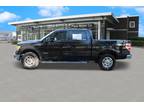 2014 Ford F-150 4WD XLT Super Crew