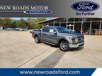 2023 Ford F-150 Gray, new