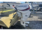 2016 Evinrude E25DSLR