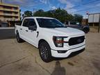 2023 Ford F-150 White, 23 miles