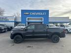 2024 Chevrolet Silverado 1500 Gray, new