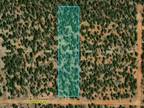 Pinehill, Cibola County, NM Undeveloped Land, Homesites for rent Property ID: