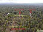 TBD1 TOTEM ROAD, ISLAND PARK, ID 83429 Land For Sale MLS# 2161709