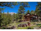 1217 Big Owl Rd, Allenspark, CO 80510