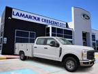 2023 Ford F-350 White, 10 miles