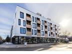New one bedroom apartment - Calgary Pet Friendly Apartment For Rent Hillhurst