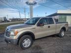 Used 2010 FORD F150 For Sale