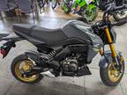 2024 Kawasaki Z125 Pro