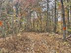 Pikeville, Bledsoe County, TN Undeveloped Land for sale Property ID: 418135610