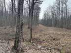 Vinton, Bedford County, VA Undeveloped Land for sale Property ID: 415497178