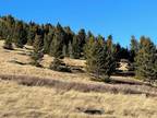 NHN RENDEZVOUS TRAIL, Livingston, MT 59047 Single Family Residence For Sale MLS#