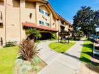 2 Beds, 1 ½ Baths Casa Grande - Apartments in Torrance, CA