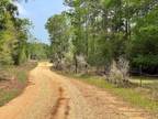 Tylertown, Walthall County, MS Undeveloped Land for sale Property ID: 417969181
