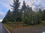 Port Angeles, Clallam County, WA Undeveloped Land, Homesites for sale Property