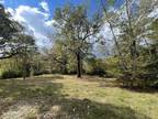 Carthage, Leake County, MS Undeveloped Land for sale Property ID: 418089660
