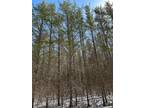 Minocqua, Oneida County, WI Undeveloped Land for sale Property ID: 417042129
