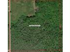 Roscommon, Roscommon County, MI Undeveloped Land for sale Property ID: 418337931