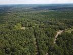 Moundville, Hale County, AL Farms and Ranches, Timberland Property