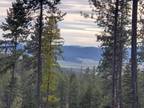 Chewelah, Stevens County, WA Undeveloped Land for sale Property ID: 418029148