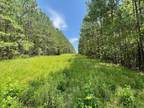 Waynesboro, Wayne County, MS Farms and Ranches, Recreational Property for sale