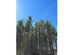 Minocqua, Oneida County, WI Undeveloped Land for sale Property ID: 417042130
