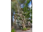 1250 Cave St, Unit 2 - Condos in San Diego, CA