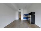 244 Biscayne Blvd #345, Miami, FL 33132