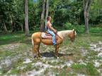 Sweet Palomino Mare