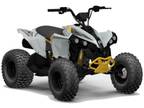 New 2024 Can-Am® Renegade 110 EFI