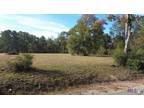 29056 MARY KINCHEN RD, Albany, LA 70711 Land For Sale MLS# [phone removed]