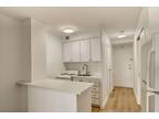 Studio - unit 102 - Montréal Apartment For Rent 3460 Rue Durocher ID 549611