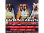 Equalizers