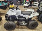 2023 Can-Am RENEGADE 650 CATALYST GREY ATV for Sale