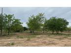 Early, Brown County, TX Undeveloped Land for sale Property ID: 416206877