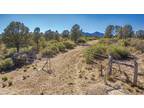 Peeples Valley, Yavapai County, AZ Undeveloped Land for sale Property ID: