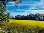 Bell, Gilchrist County, FL Undeveloped Land for sale Property ID: 418311631