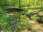 Pulaski, Giles County, TN Recreational Property, Hunting Property for sale